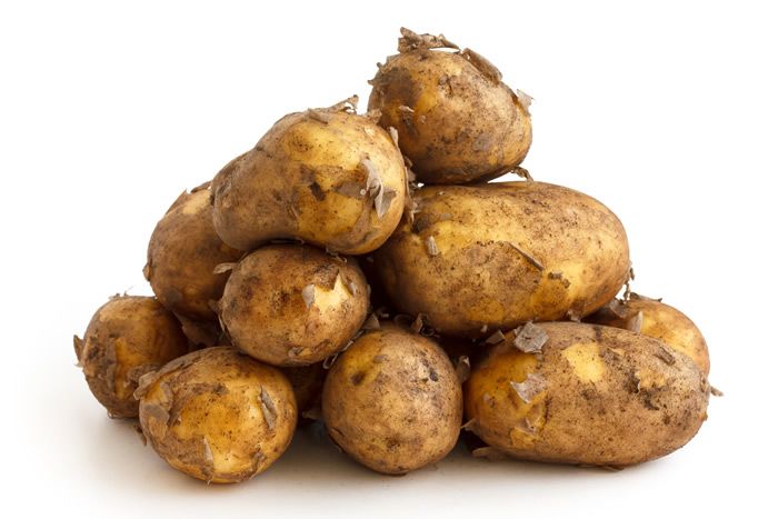 Jersey Royal Potatoes